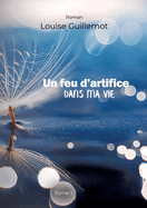 Un feu d'artifice dans ma vie: Tome 1 - Foncer ou s'enfoncer