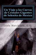 Un Viaje a Las Cuevas de Cristales Gigantes de Selenita de Mexico: Los Cristales Ms Grandes Descubiertos En El Planeta Tierra