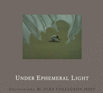 Under Ephemeral Light