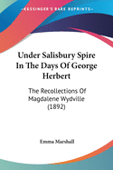 Under Salisbury Spire In The Days Of George Herbert: The Recollections Of Magdalene Wydville (1892)