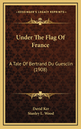 Under the Flag of France: A Tale of Bertrand Du Guesclin (1908)