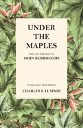 Under the Maples - The Last Portrait of John Burroughs