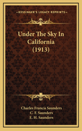 Under the Sky in California (1913)