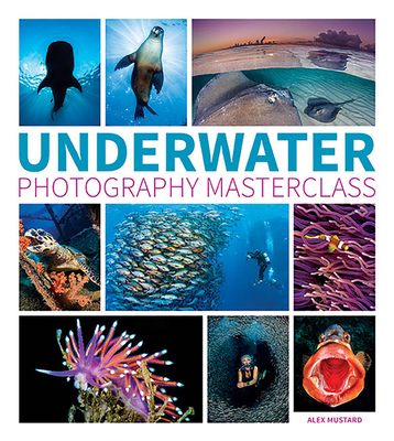 Underwater Photography Masterclass - Mustard, A