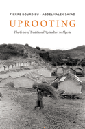 Uprooting: The Crisis of Traditional Algriculture in Algeria