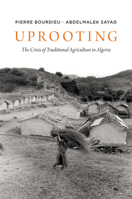 Uprooting: The Crisis of Traditional Algriculture in Algeria - Bourdieu, Pierre, Professor, and Sayad, Abdelmayek