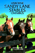 Usborne Sandy Land Stables Omnibus: A Horse for the Summer/The Runaway Pony/Stangers at the Stables