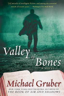 Valley of Bones - Gruber, Michael