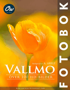 Vallmo: ver 100 HD-bilder