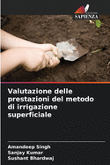 Valutazione delle prestazioni del metodo di irrigazione superficiale