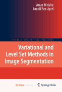 Variational and Level Set Methods in Image Segmentation