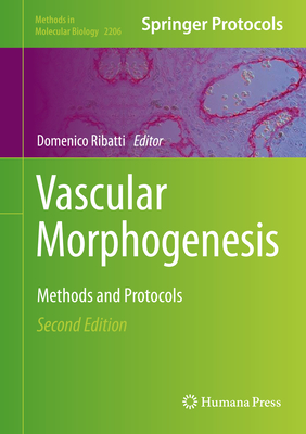 Vascular Morphogenesis: Methods and Protocols - Ribatti, Domenico (Editor)
