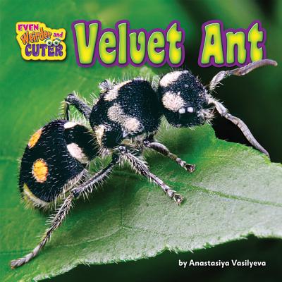 Velvet Ant - Vasilyeva, Anastasiya