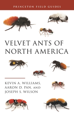 Velvet Ants of North America - Williams, Kevin, Dr., and Pan, Aaron D, Dr., and Wilson, Joseph S