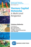 Venture Capital Networks: A Multi-Level Perspective