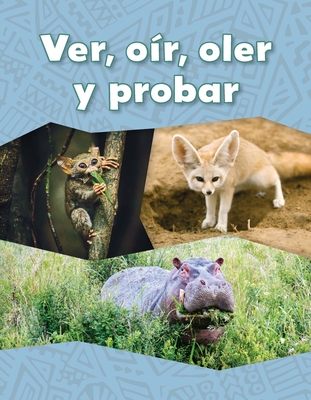 Ver, Or, Oler Y Probar - Vhl