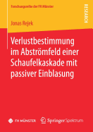 Verlustbestimmung Im Abstrmfeld Einer Schaufelkaskade Mit Passiver Einblasung
