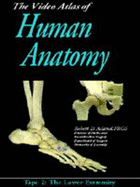 Video Atlas of Human Anatomy: Tape 2 the Lower Extremity (Video) [Vhs] - Robert D. Acland