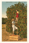 Vintage Journal Women Picking Oranges, Florida