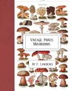 Vintage Prints: Mushrooms