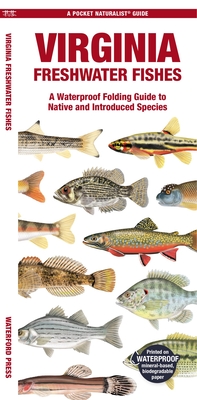 Virginia Freshwater Fishes: A Waterproof Folding Guide to Native and Introduced Species - Waterford Press, and Kavanagh, Jill (Creator)