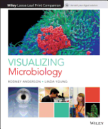 Visualizing Microbiology