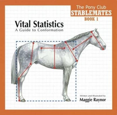 Vital Statistics: A Guide to Conformation - Raynor, Maggie