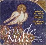 Vox de Nube (Voice from the Cloud)