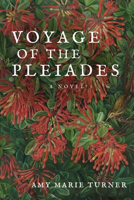 Voyage of the Pleiades - Turner, Amy Marie