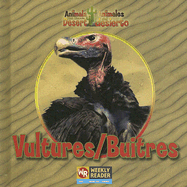 Vultures / Buitres