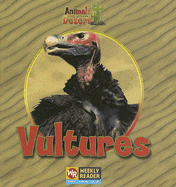 Vultures