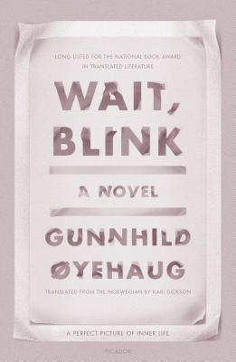 Wait, Blink: A Perfect Picture of Inner Life: A Novel - yehaug, Gunnhild, and Dickson, Kari (Translated by)