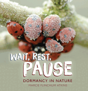 Wait, Rest, Pause: Dormancy in Nature