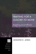 Waiting for a Glacier to Move: Practicing Social Witness