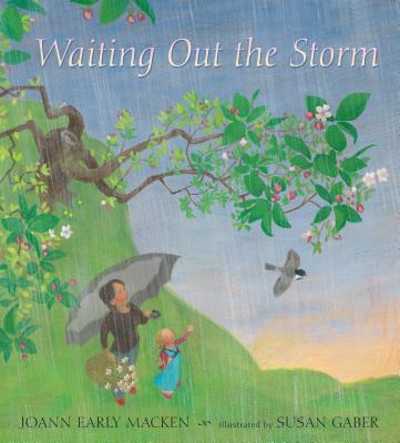 Waiting Out the Storm - Macken, Joann Early