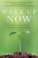 Wake Up Now: A Guide to the Journey of Spiritual Awakening