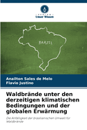 Waldbr?nde unter den derzeitigen klimatischen Bedingungen und der globalen Erw?rmung