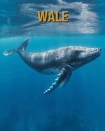 Wale: Buch mit erstaunlichen Fotos und lustigen Fakten