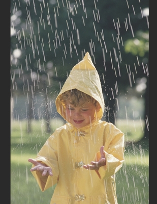 Walk between the Raindrops - Wilson, J R