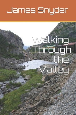 Walking Through the Valley - Snyder, James L