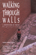 Walking Through Walls