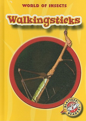 Walkingsticks - Green, Emily K