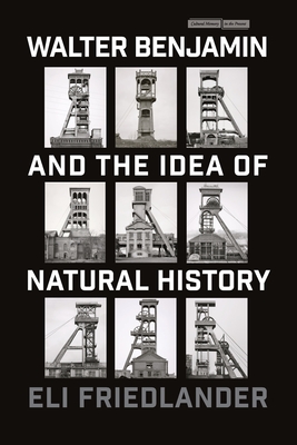 Walter Benjamin and the Idea of Natural History - Friedlander, Eli