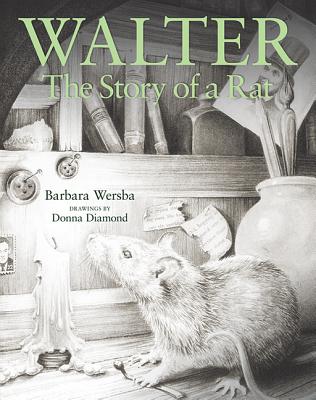 Walter: The Story of a Rat - Wersba, Barbara