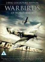 Warbirds of WWII - 