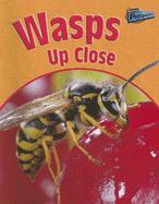 Wasps Up Close - Pyers, Greg