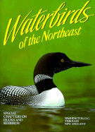 Waterbirds of the Northeast: Washington, D.C. Through New England