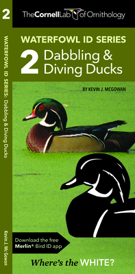 Waterfowl Id Series: 2 Dabbling & Diving Ducks - McGowan, Kevin J