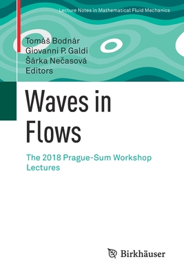 Waves in Flows: The 2018 Prague-Sum Workshop Lectures - Bodnr, Toms (Editor), and Galdi, Giovanni P (Editor), and Ne asov, Srka (Editor)