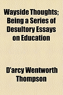 Wayside Thoughts: Being a Series of Desultory Essays on Education